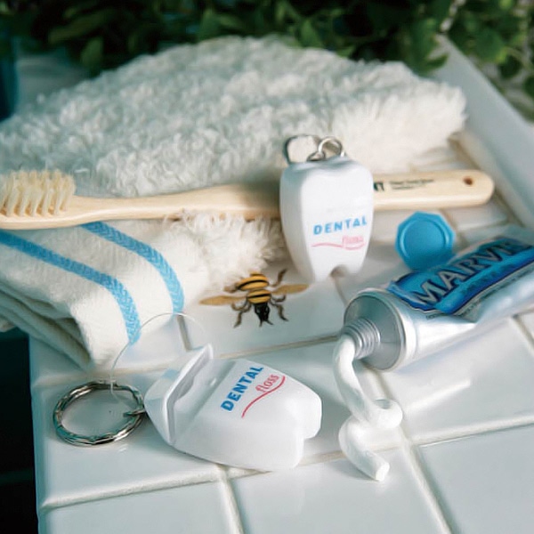 デンタルフロス ダルトン DULTON キーホルダー 15m ( フロス 携帯 オーラルケア 歯間ブラシ 歯磨き 虫歯予防 デンタルケア 口 お口 食後 持ち運び ホルダー )