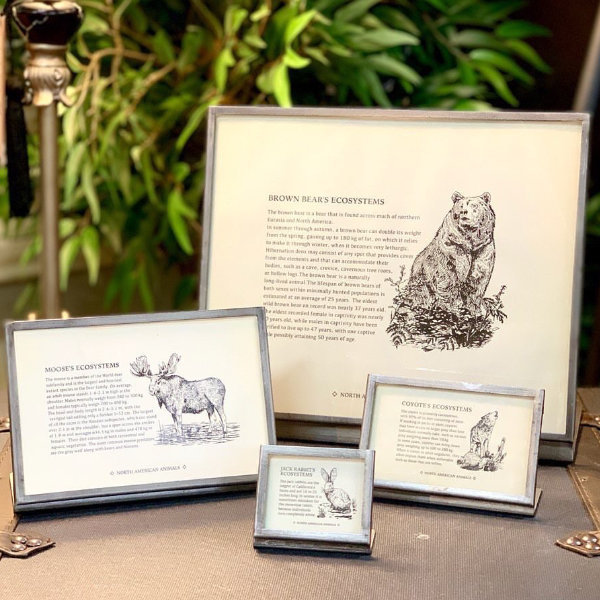 フレーム メタル 幅20.5cm ダルトン DULTON ( 写真立て フォトフレーム 額 額縁 L字 写真たて フォトスタンド ポストカード アートフレーム メタルフレーム メニュー立て プライス立て )