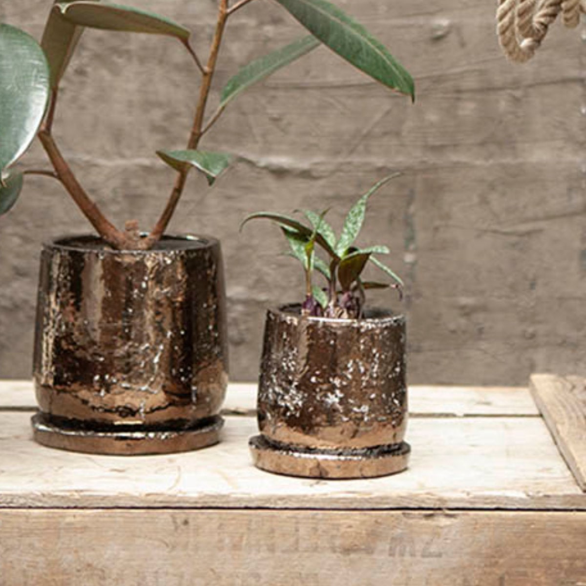 ダルトン 植木鉢 ラウンドポット S 直径10.5cm ( DULTON 植木鉢 プラントポット 植物用ポット 花器 鉢カバー ポット テラコッタ 丸 植木鉢カバー 植物 花 観葉植物 園芸 直植え インテリア 受皿 底穴あり 花資材 卓上 ) 【ゴールド】 ゴールド