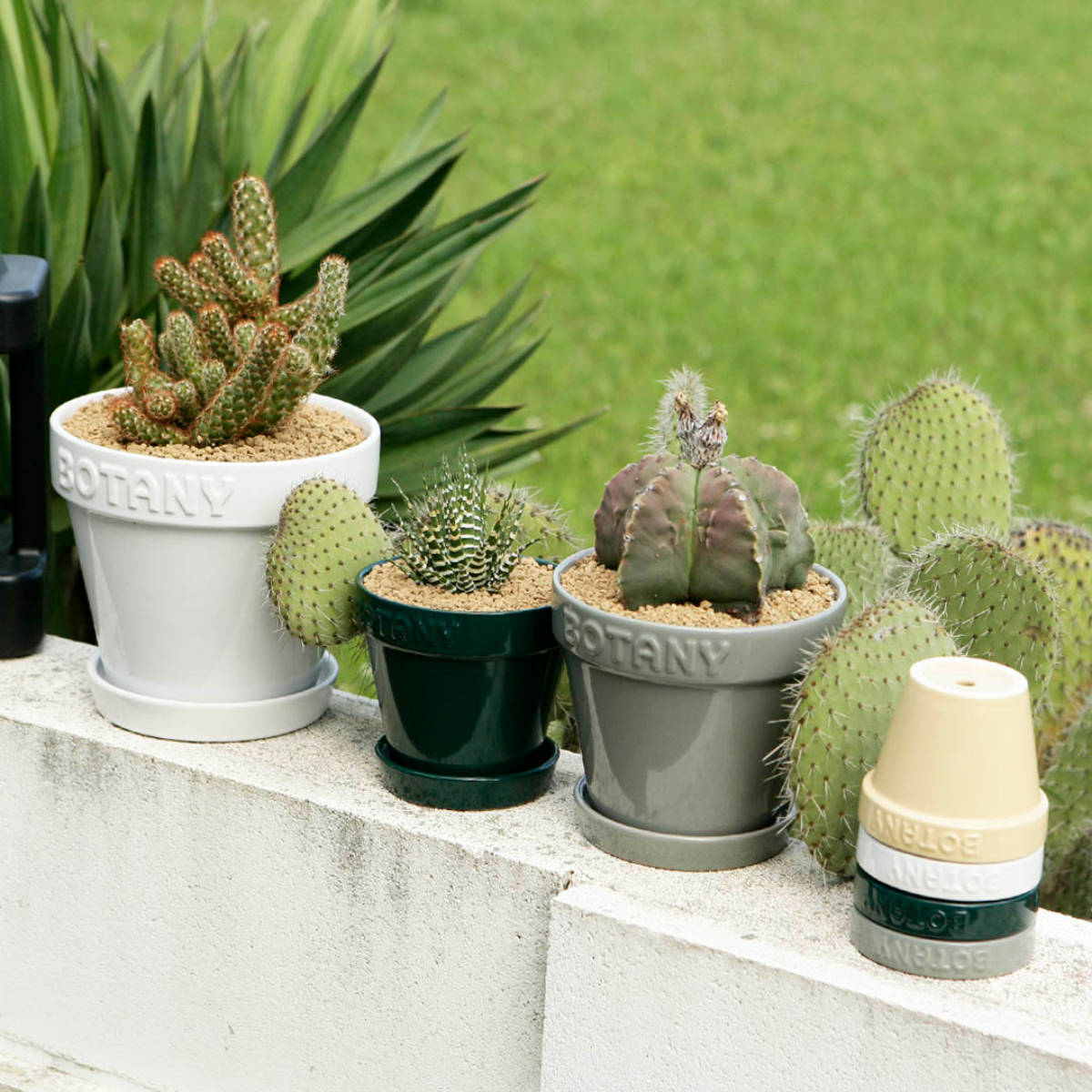 ダルトン 植木鉢 ボタニーポット 4号鉢 ガーデンポット ( DULTON プランター プラントポット 植物用ポット 鉢 花器 鉢カバー ポット セラミック 丸 植木鉢カバー 花 水抜き穴付き 受け皿 植物 観葉植物 園芸 直植え おしゃれ ) 【グリーン】 グリーン