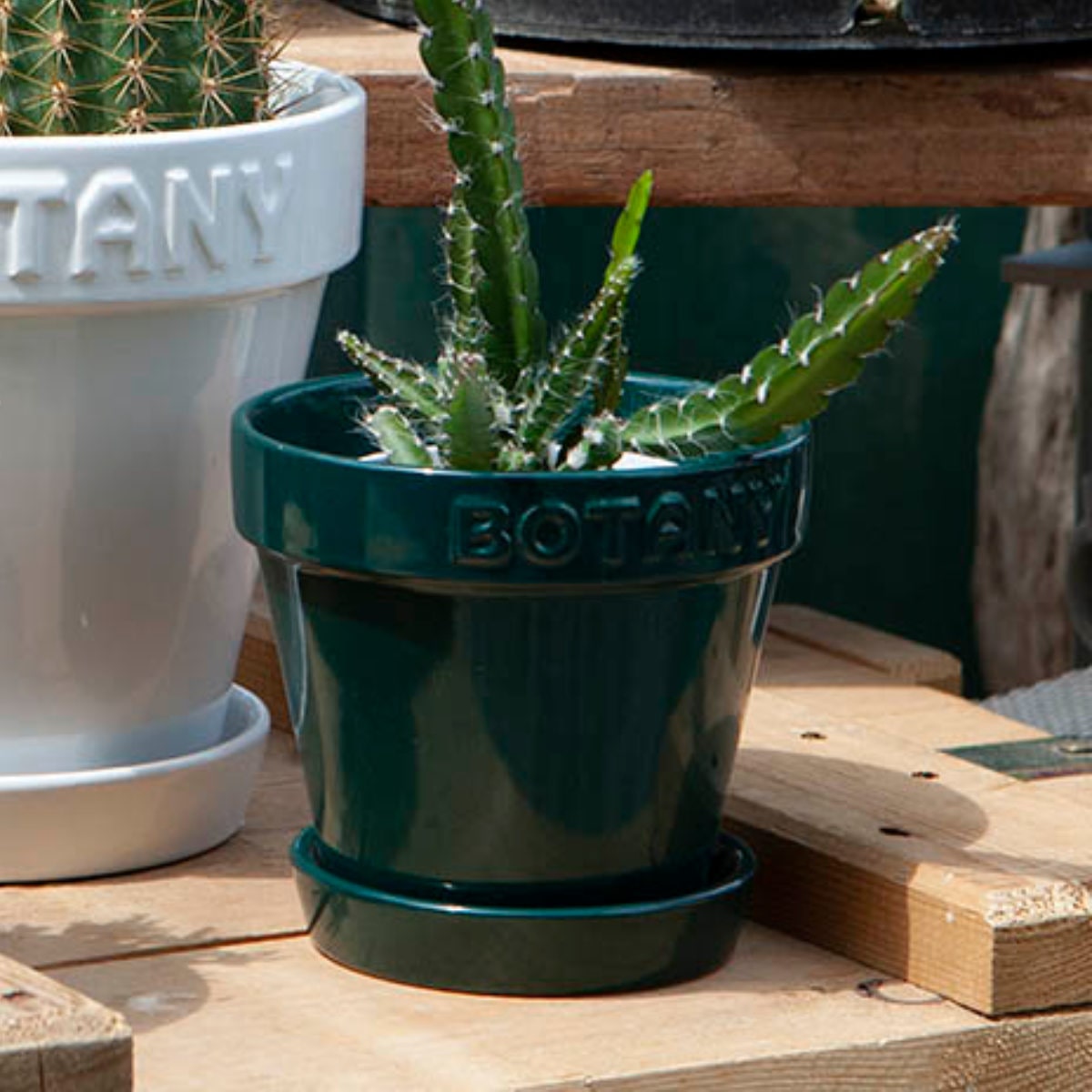 ダルトン 植木鉢 ボタニーポット 4号鉢 ガーデンポット ( DULTON プランター プラントポット 植物用ポット 鉢 花器 鉢カバー ポット セラミック 丸 植木鉢カバー 花 水抜き穴付き 受け皿 植物 観葉植物 園芸 直植え おしゃれ ) 【グリーン】 グリーン