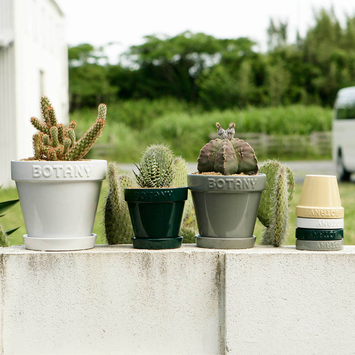 ダルトン 植木鉢 ボタニーポット 4号鉢 ガーデンポット ( DULTON プランター プラントポット 植物用ポット 鉢 花器 鉢カバー ポット セラミック 丸 植木鉢カバー 花 水抜き穴付き 受け皿 植物 観葉植物 園芸 直植え おしゃれ ) 【グリーン】 グリーン