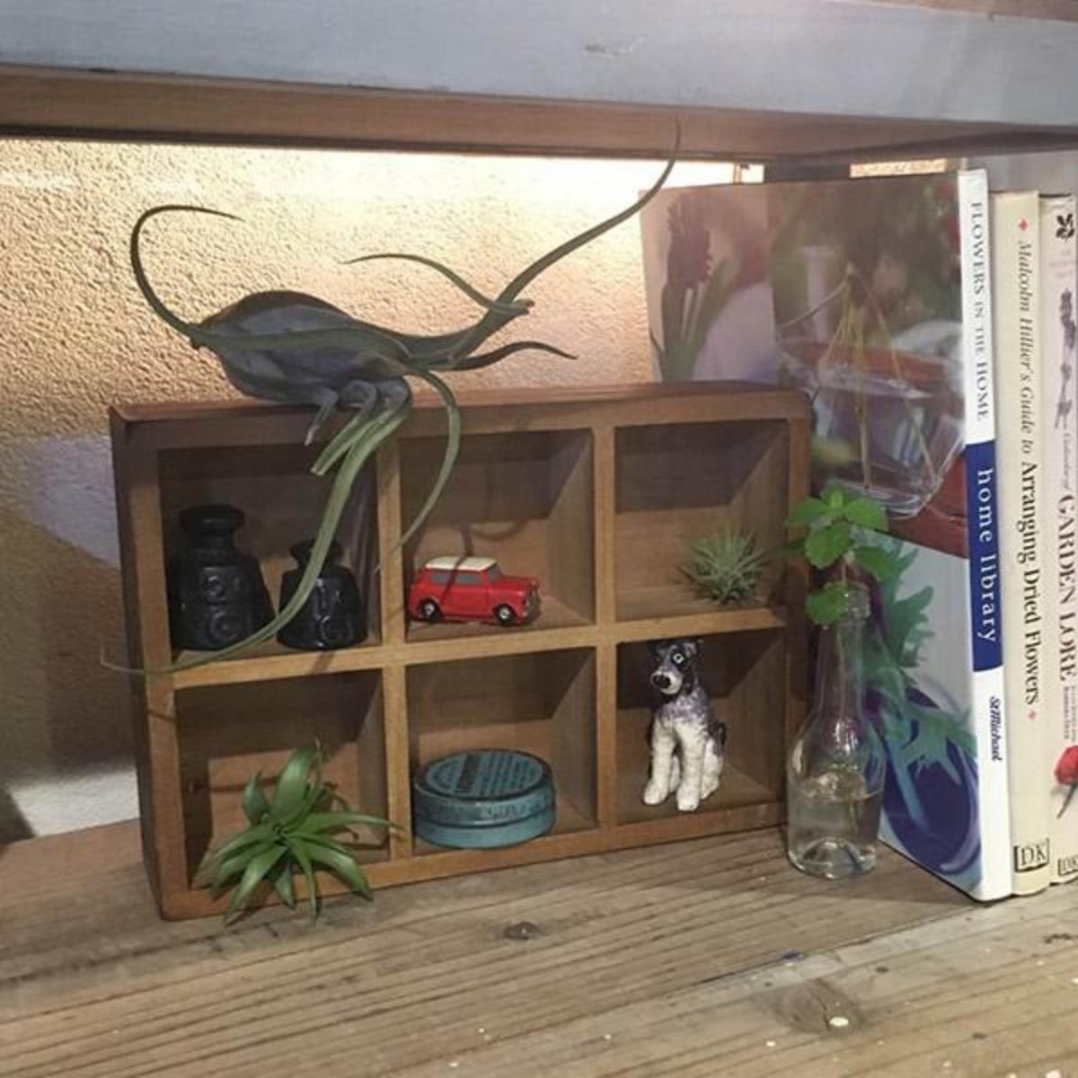 小物収納 ダルトン DULTON 6 PARTITION WOODEN BOX H65 ウッデン ボックス 木製 幅17×奥行24.5×高さ6.5cm ( 小物入れ 収納ケース 収納ボックス ケース 木製ボックス 仕切あり 小物 道具入れ 整理整頓 整理 スタッキング )