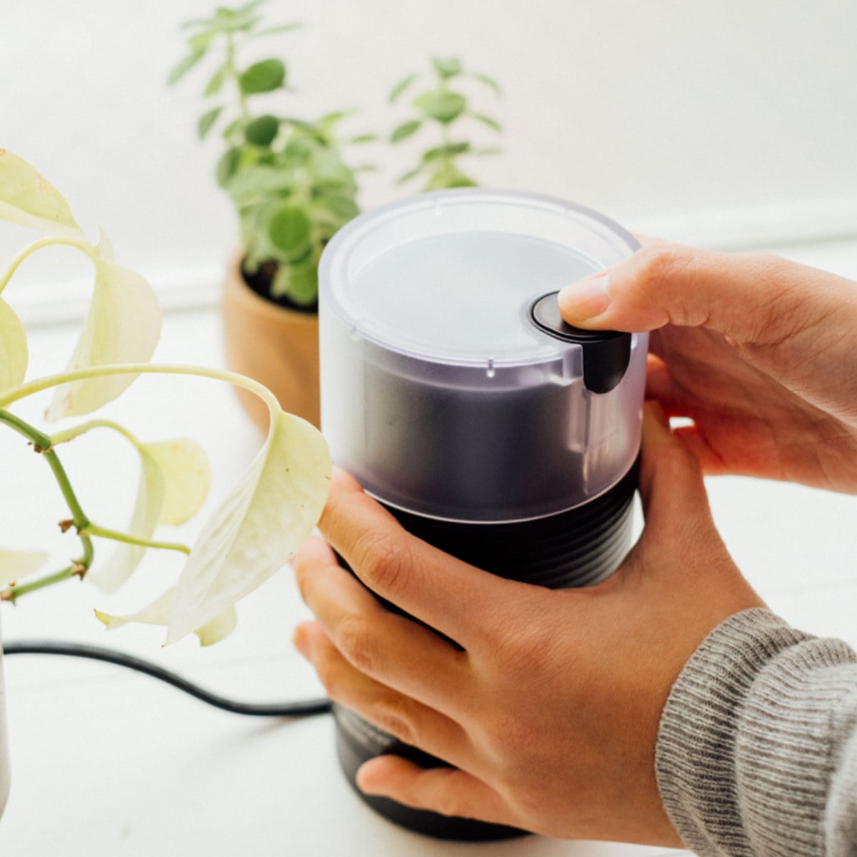 ハリオ コーヒーミル 電動 ステンレス ( ミル 電動ミル 電動コーヒーミル コンパクト コーヒー 珈琲 ドリップ 粗さ調節 シンプル 安全設計 おしゃれ ) 【ホワイト】 ホワイト