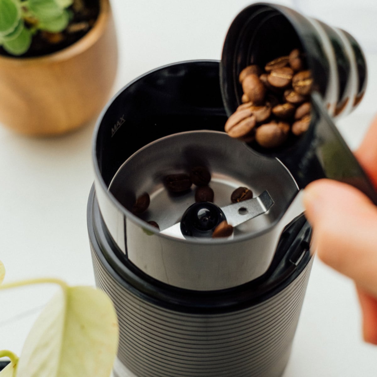 ハリオ コーヒーミル 電動 ステンレス ( ミル 電動ミル 電動コーヒーミル コンパクト コーヒー 珈琲 ドリップ 粗さ調節 シンプル 安全設計 おしゃれ ) 【ホワイト】 ホワイト