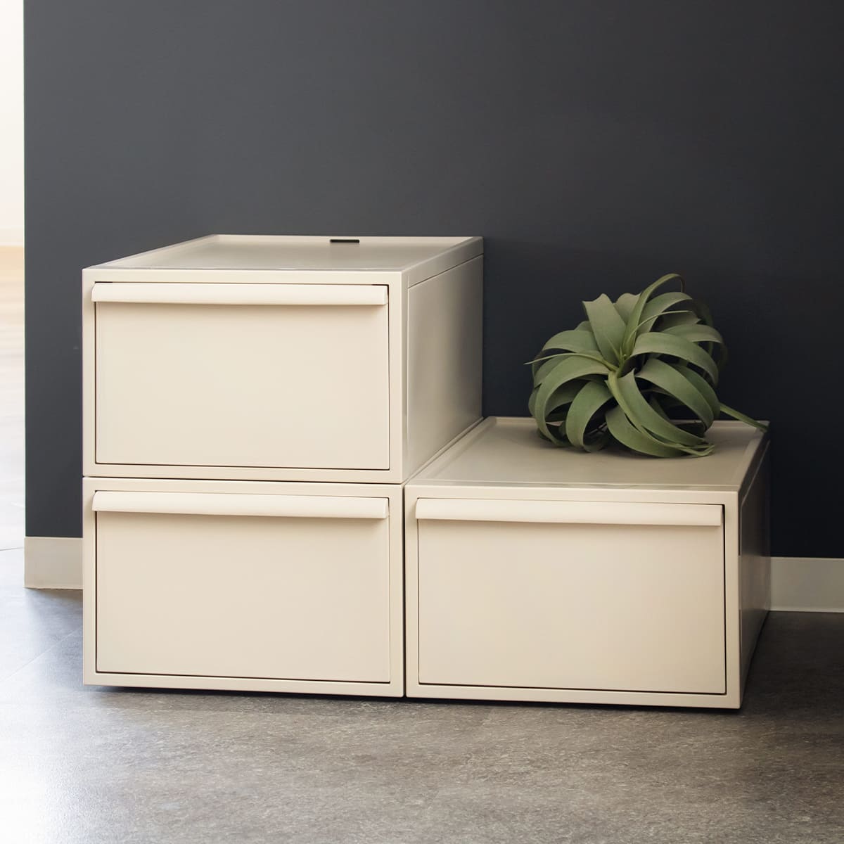 収納ケース 同色3個セット 引き出し M 幅32×奥行52×高さ21.5cm クローゼットシステム ( 収納 クローゼット 衣類収納 衣装ケース 積み重ね プラスチック 日本製 ) 【オールモカ】 オールモカ