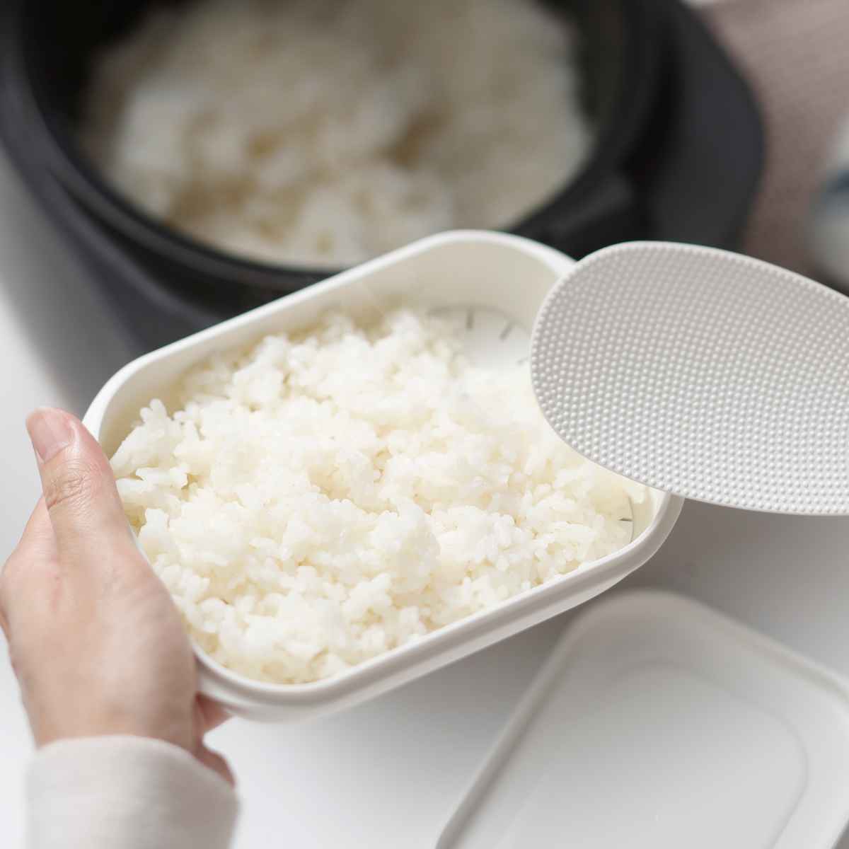 marna マーナ 極 冷凍ごはん容器 大 K783 ( 保存容器 日本製 食洗機対応 電子レンジ対応 冷凍ご飯容器 冷凍保存 大盛り 冷凍 ふっくら お弁当 お米 ごはん ご飯 米 容器 小分け 保存 炊き立てごはん 炊き立てご飯 )