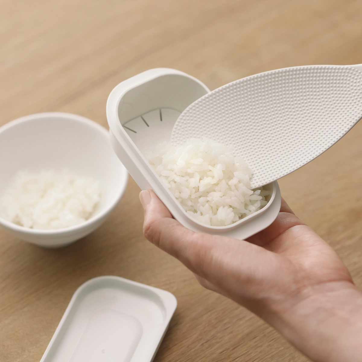 marna マーナ 極 冷凍ごはん容器 小 K811 ( 保存容器 2個入り 日本製 食洗機対応 電子レンジ対応 冷凍ご飯容器 冷凍保存 冷凍 100g 小盛 ふっくら お弁当 お米 ごはん ご飯 米 容器 小分け 保存 炊き立てごはん 炊き立てご飯 )