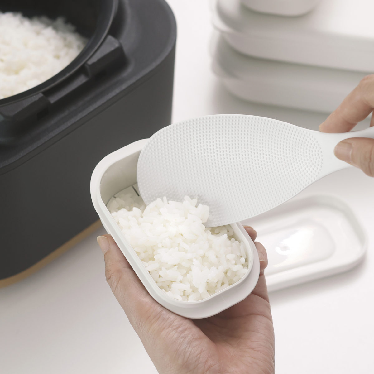 marna マーナ 極 冷凍ごはん容器 小 K811 3個セット ( 保存容器 2個入り 日本製 食洗機対応 電子レンジ対応 冷凍ご飯容器 冷凍保存 冷凍 100g 小盛 ふっくら お弁当 お米 ごはん ご飯 米 容器 小分け 保存 炊き立てごはん )