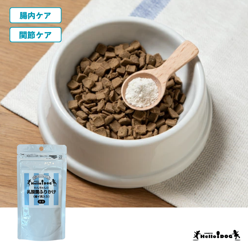 【ハロードッグ】 乳酸菌ふりかけ 緑イ貝入り 50g 国産 | 翌日出荷 無添加 ペットフード サプリメント 腸内ケア 関節ケア 犬用 犬 ドッグ シニア 子犬 仔犬 いぬ 犬用食品 ペット ドックフード パウダー 粉 高齢 ふりかけ