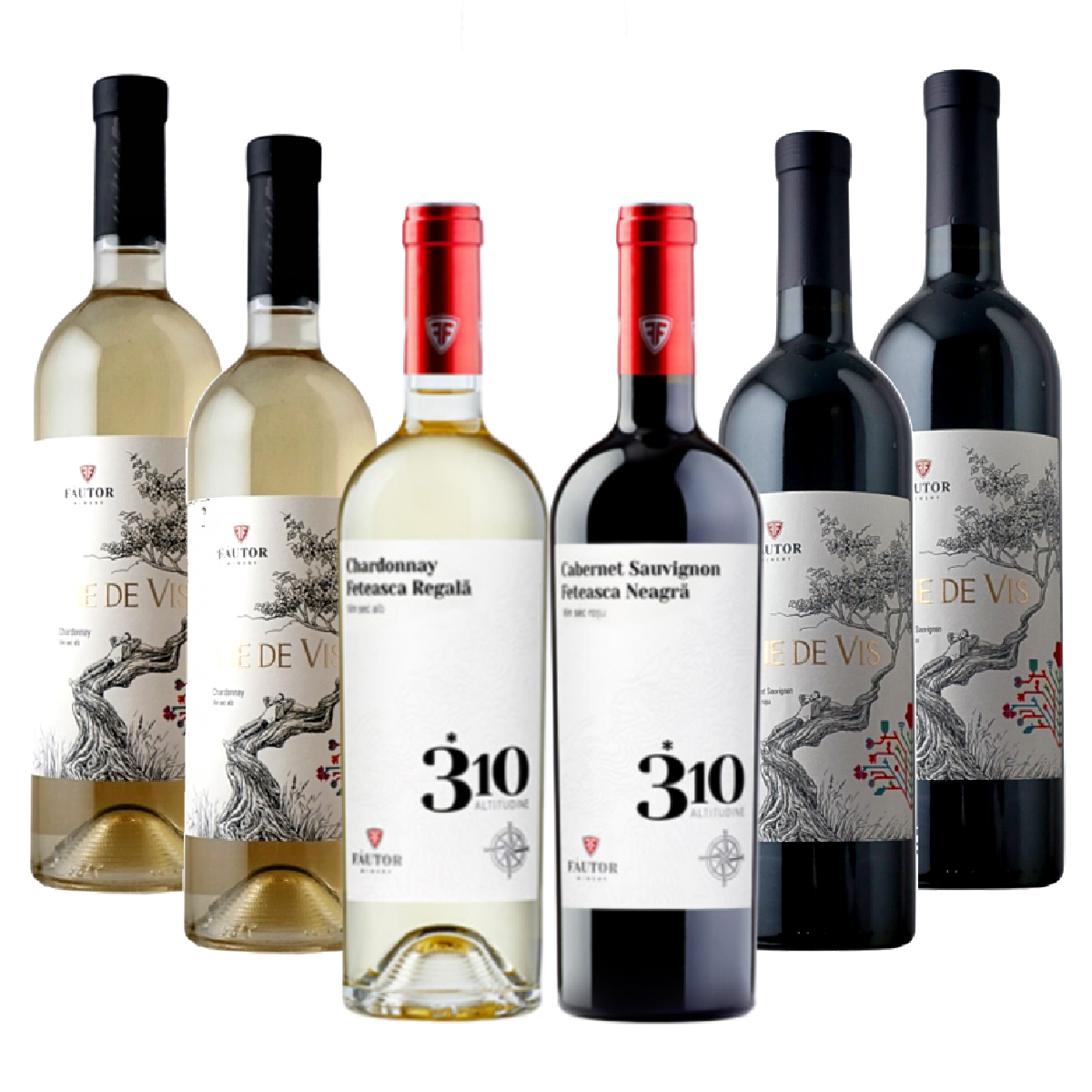 デイリーワイン 初夏のオススメ6本セット（白3／赤3）(750ml