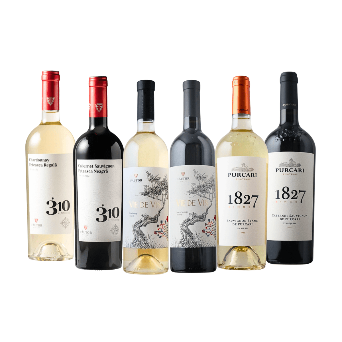 デイリーワイン 年度末スペシャル 6本セット（白3／赤3）