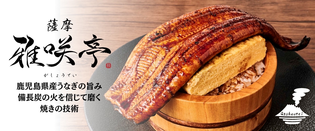 本格炭火焼 鹿児島県産うなぎ蒲焼き5尾セット うなぎ135g×5