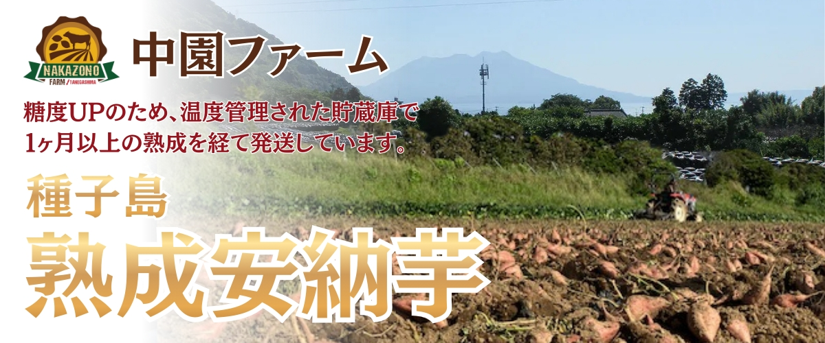 種子島直送 中園ファームの熟成安納芋5kg
