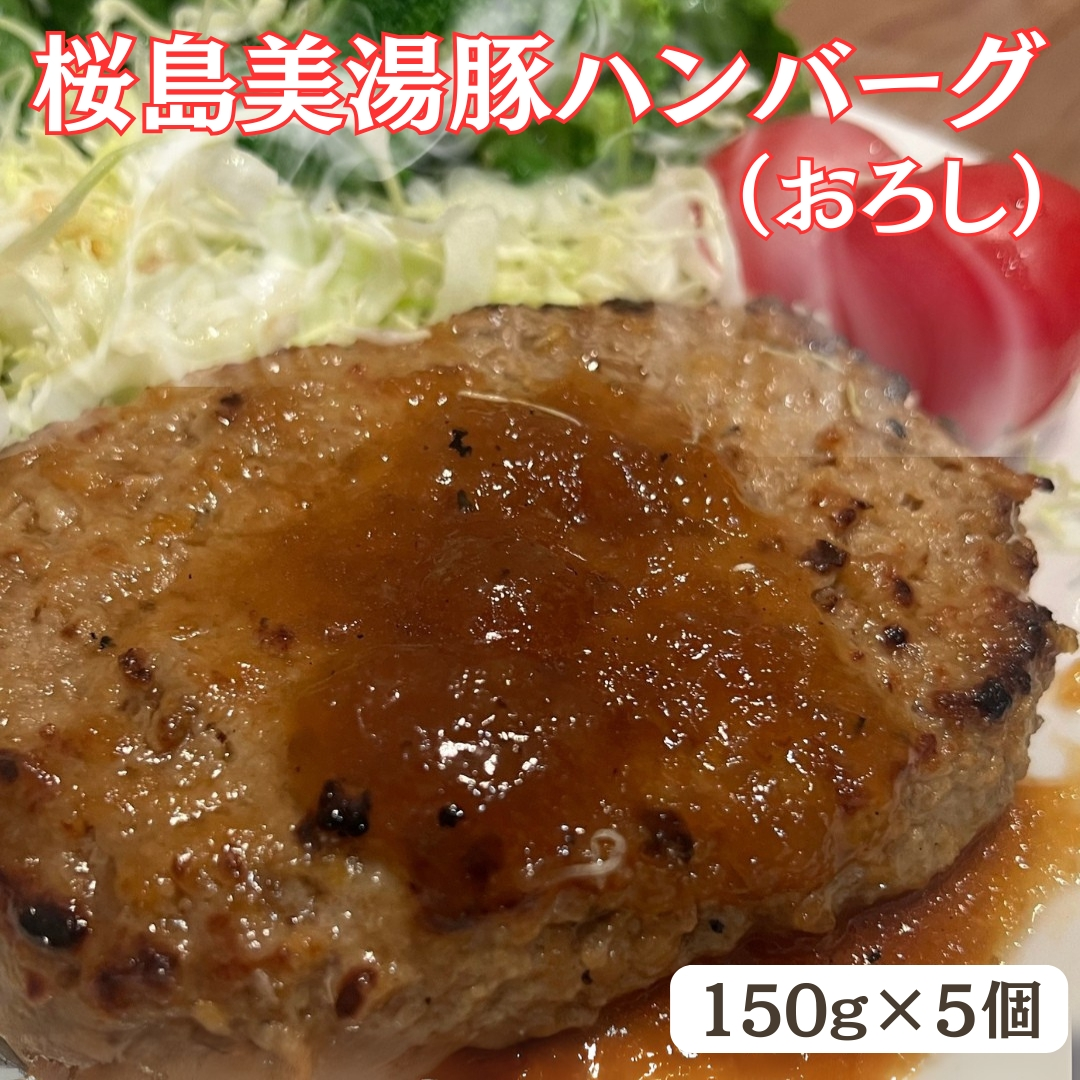 桜島美湯豚 ハンバーグセット(おろし・デミ)