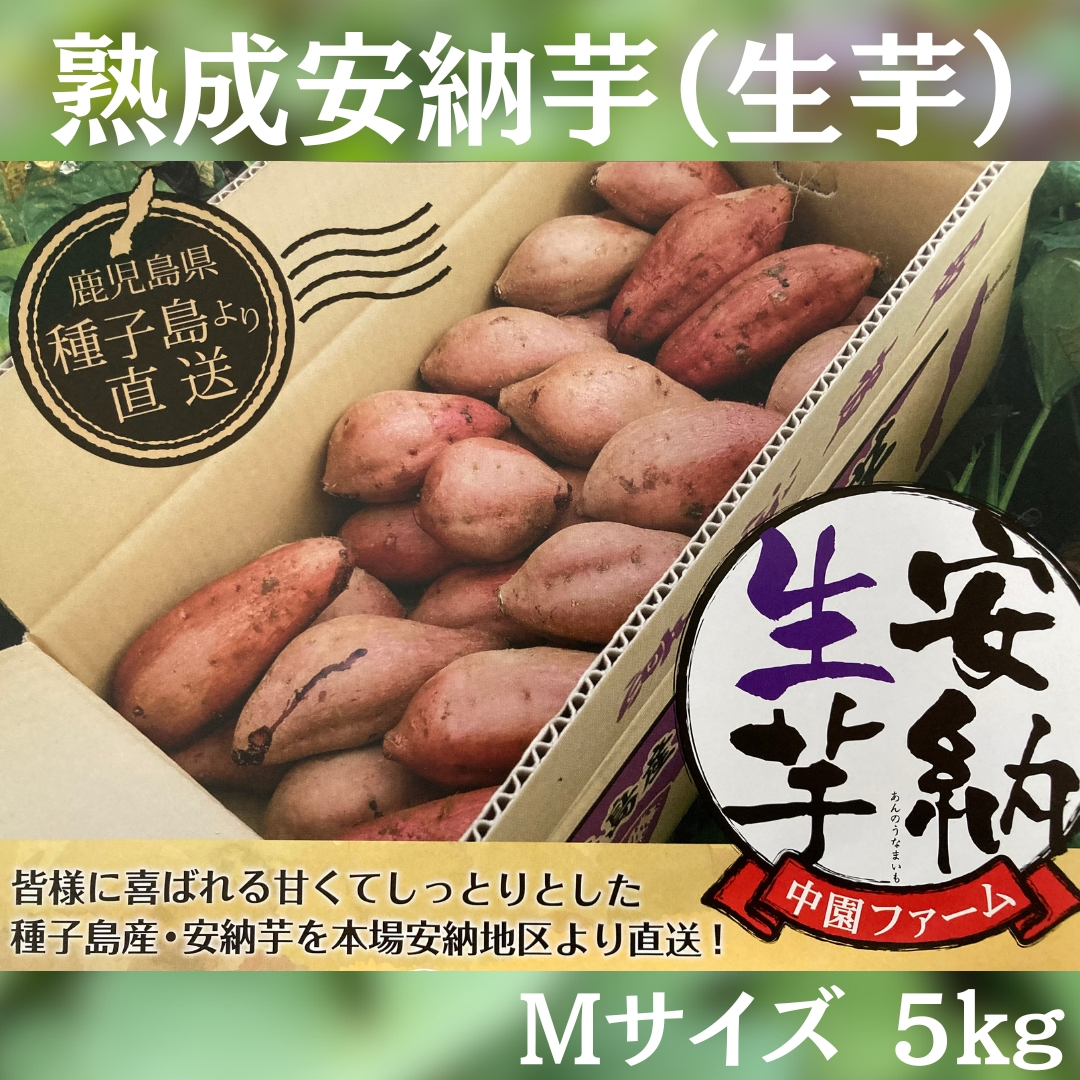 種子島直送 中園ファームの熟成安納芋5kg