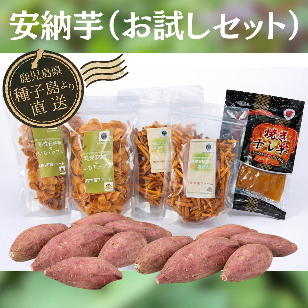 種子島直送 中園ファームの熟成安納芋 お試しセット