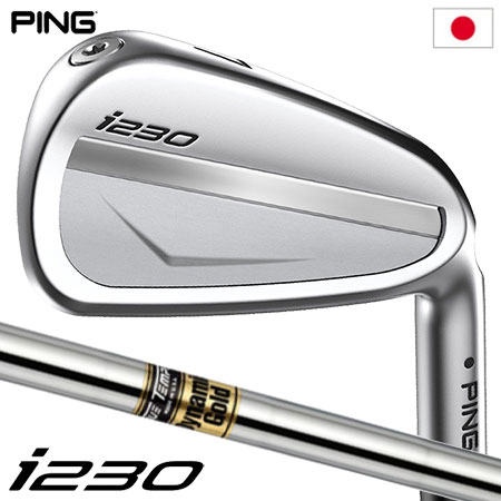 ピン PING i230 アイアン 6本セット(5-9,PW) メンズ ダイナミックゴールド スチールシャフト メーカー保証 日本正規品 日本モデル ゴルフ ゴルフクラブ 右用 右打ち 右利き DG DynamicGold