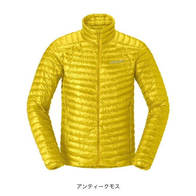 アンティークモス