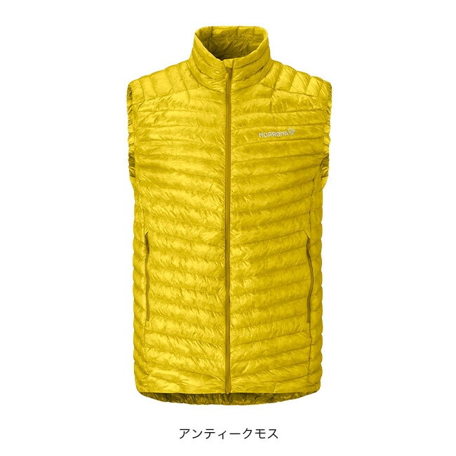 アンティークモス