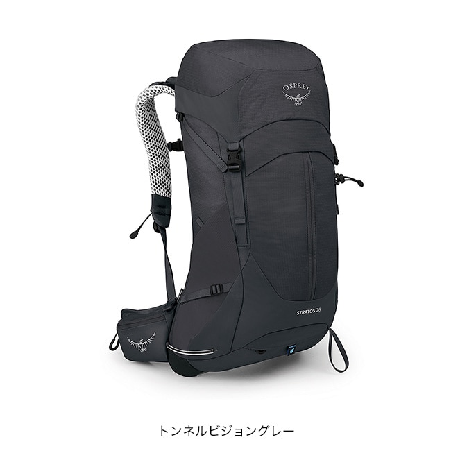 トンネルビジョングレー