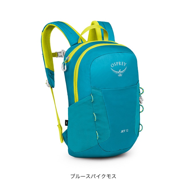 ブルースパイクモス