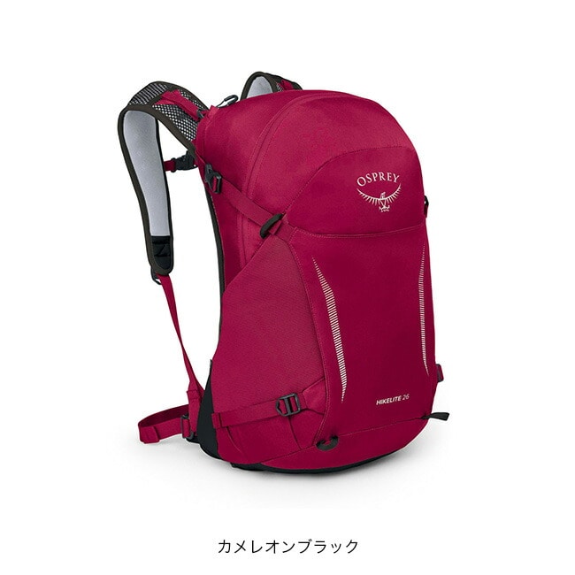 カメレオンブラック