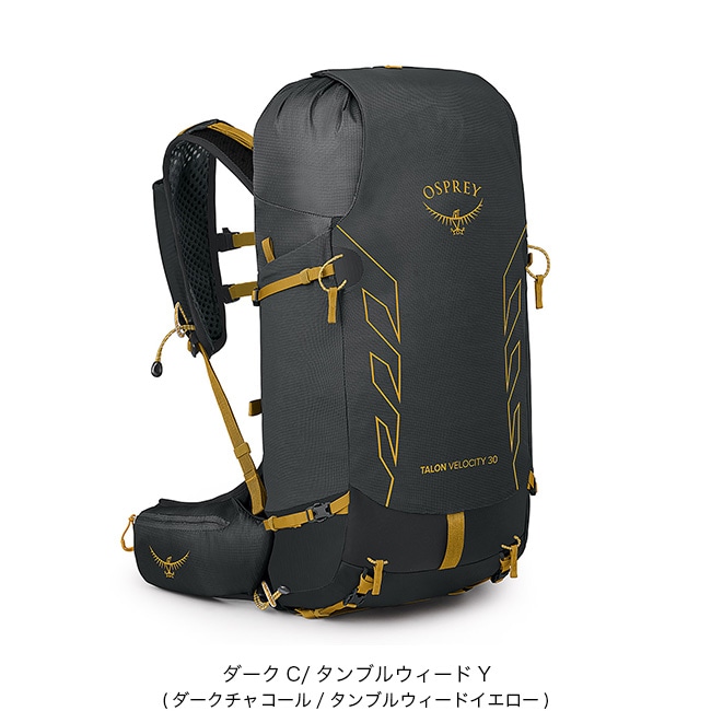 ダークC/タンブルウィードY