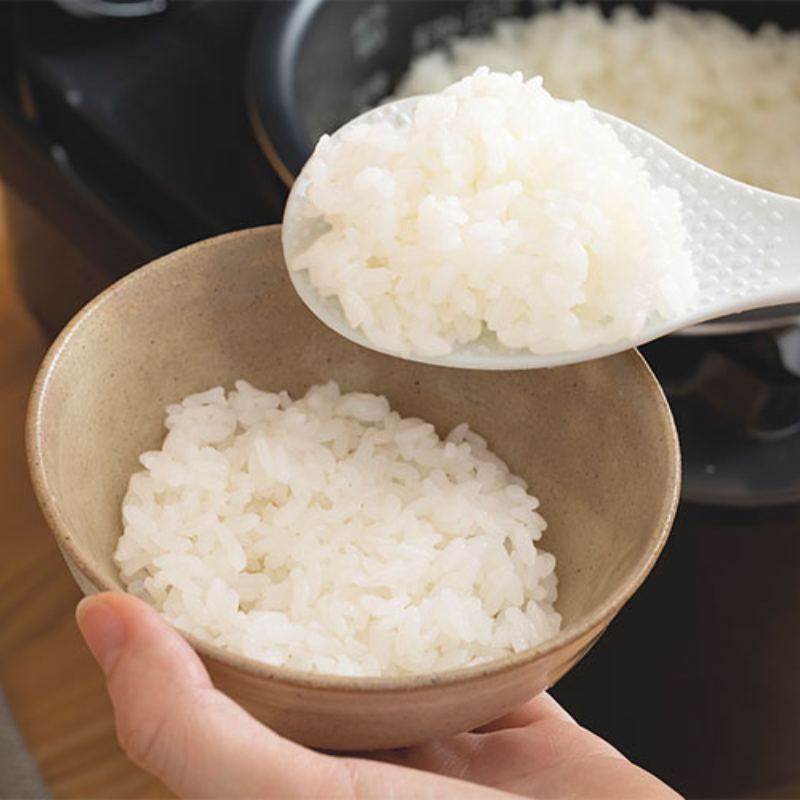 象印マホービン 圧力IH炊飯器 5.5合 ブラック NW-JY10 5.5合