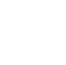 PLAY MOVIE