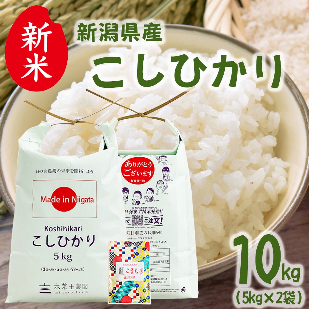新米 新潟県産 こしひかり 精米 10kg（5kg×2袋）令和7年 古代米お試し袋付き