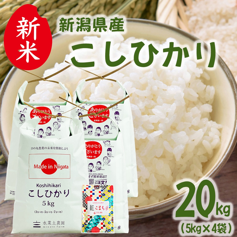 新米 新潟県産 こしひかり 精米 20kg（5kg×4袋）令和7年 古代米お試し袋付き
