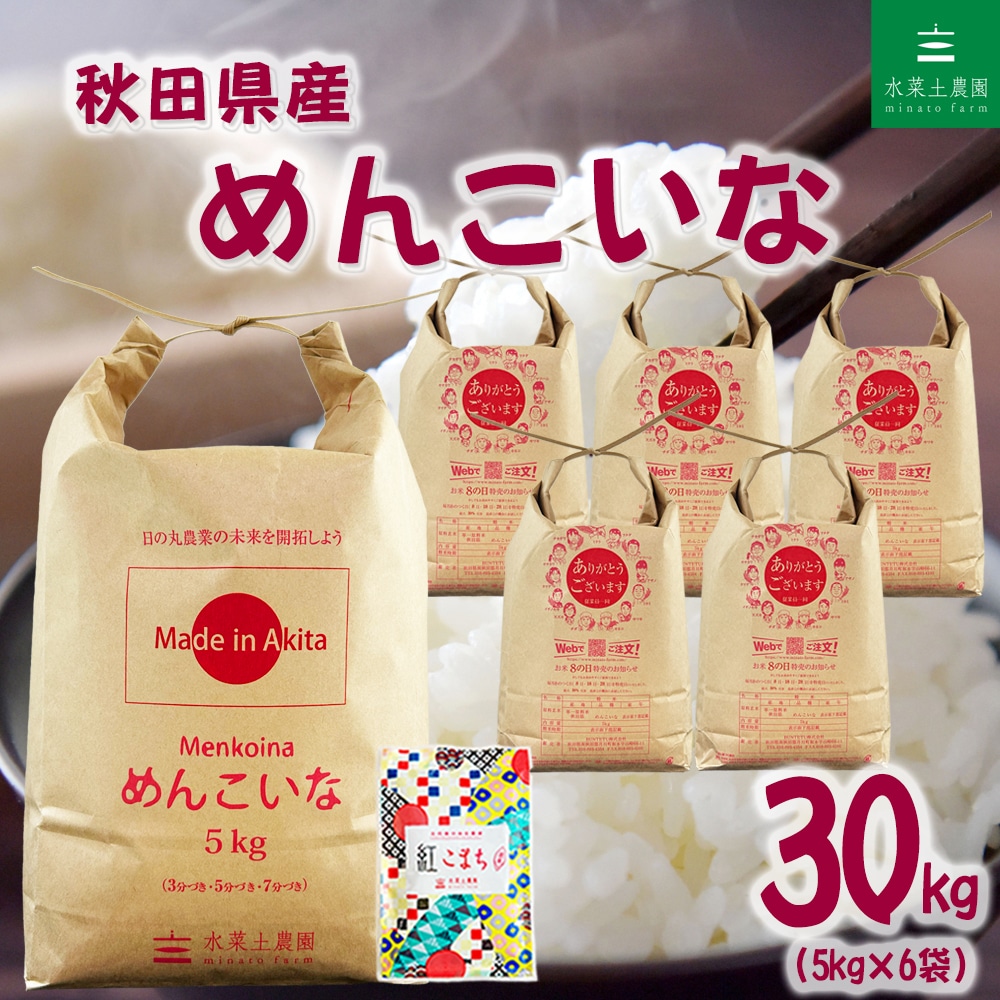 秋田県産 めんこいな 精米 30kg（5kg×6袋）令和7年産 古代米お試し袋付き
