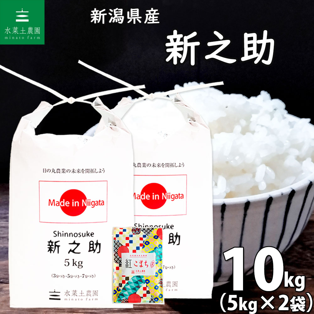 新潟県産 新之助 10kg（5kg×2袋）令和6年産 古代米お試し袋付き