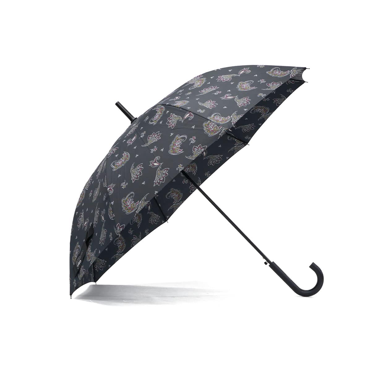 ドローイングペイズリー