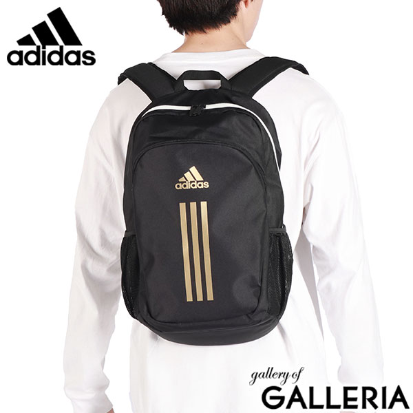 アディダス リュック メンズ レディース 小さめ adidas カジュアル 軽量 軽い ブランド 男子 女子 小学生 中学生 高校生 通学 旅行 スポーツ アウトドア A4 21L リュックサック デイパック バックパック 63934 新作 2024