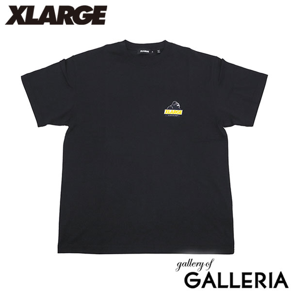 エクストララージ Tシャツ メンズ レディース XLARGE 半袖 半そで 綿100 ブランド トップス OB バックプリント グラフィック ロゴ おしゃれ カジュアル ストリート 丸首 BACKSIDE OG S/S TEE 101253011002