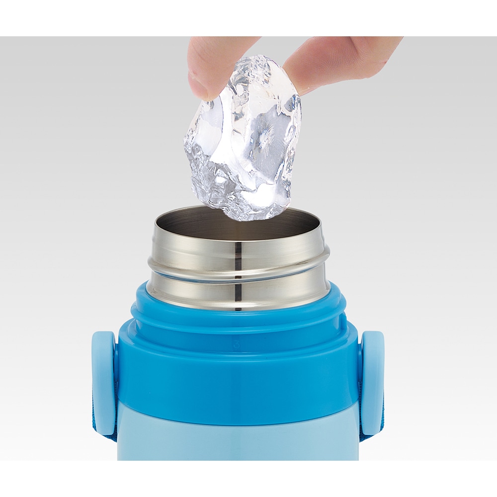 スケーター 超軽量ロック付ワンプッシュダイレクトステンレスボトル I'm Doraemon ギンガム SDC4