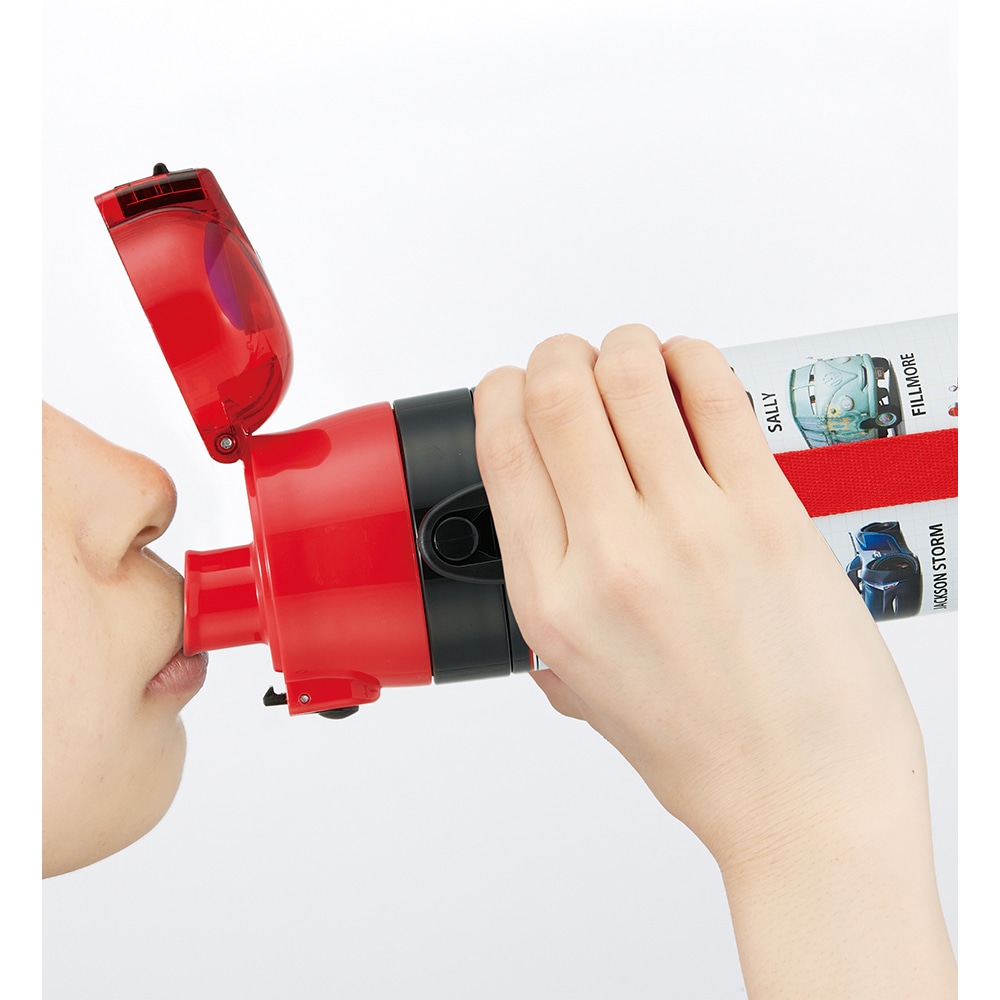 スケーター 超軽量ロック付ワンプッシュダイレクトステンレスボトル カーズ 25 SDC4