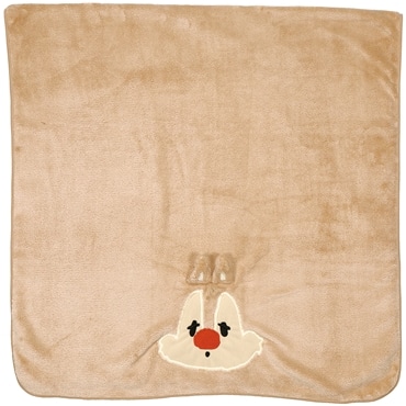 スケーター 吸水速乾 バスタオル デール TODR1