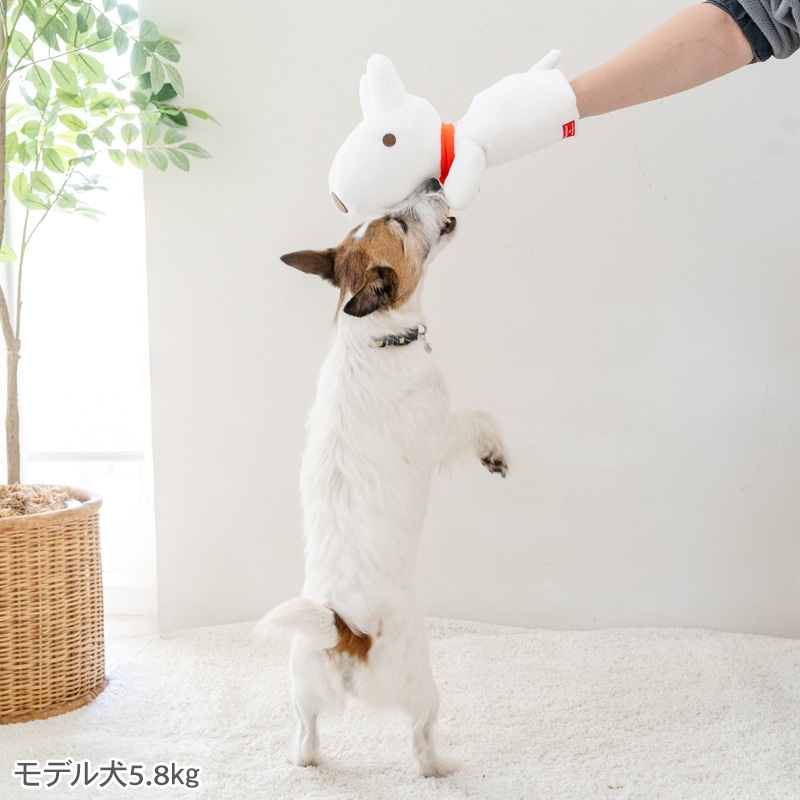 ペットパラダイス リサとガスパール 犬 おもちゃ 犬おもちゃ リサ パペットトイ 犬用おもちゃ トイ ペット ロープ 噛む 音 鳴る 音が鳴る ペットトイ 玩具 TOY かわいい おもしろ