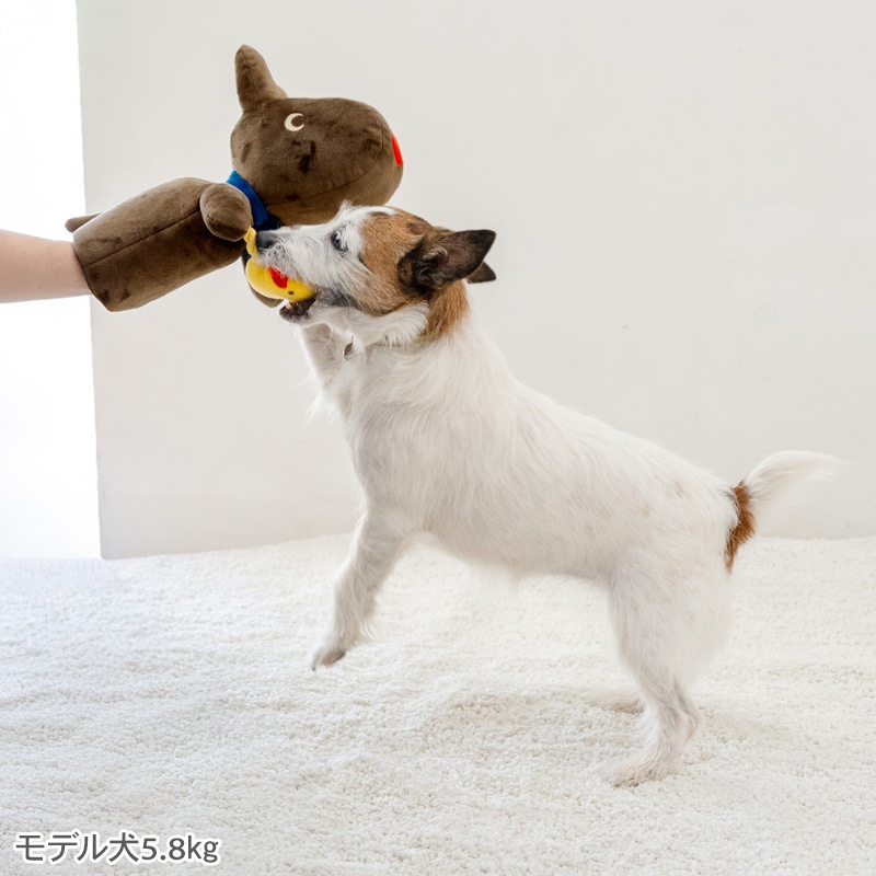 ペットパラダイス リサとガスパール 犬 おもちゃ 犬おもちゃ ガスパール パペットトイ 犬用おもちゃ トイ ペット ロープ 噛む 音 鳴る 音が鳴る ペットトイ 玩具 TOY かわいい おもしろ