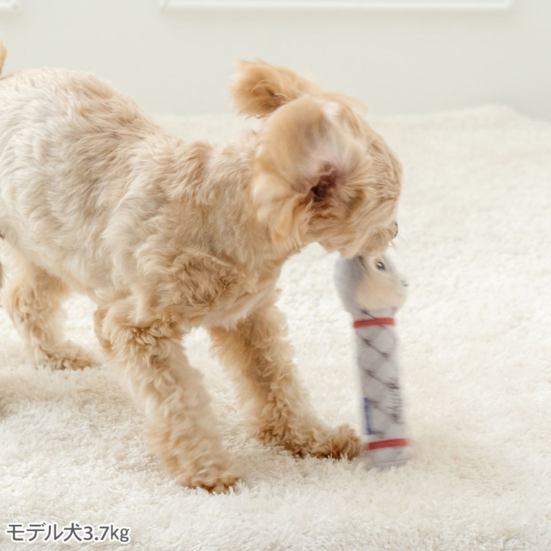 ペットパラダイス ディズニー バンビ 犬 おもちゃ 犬おもちゃ とんすけ ダンベルトイ 犬用おもちゃ トイ ペット 噛む 音 鳴る 音が鳴る オモチャ ペットトイ 玩具 TOY 0