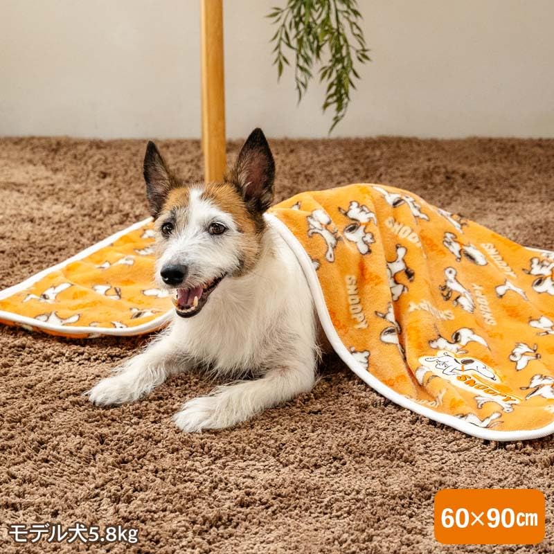 ペットパラダイス スヌーピー 犬 寝具 毛布 冬用 てくてく ブランケット 保温 暖かい 防寒 かわいい あったか