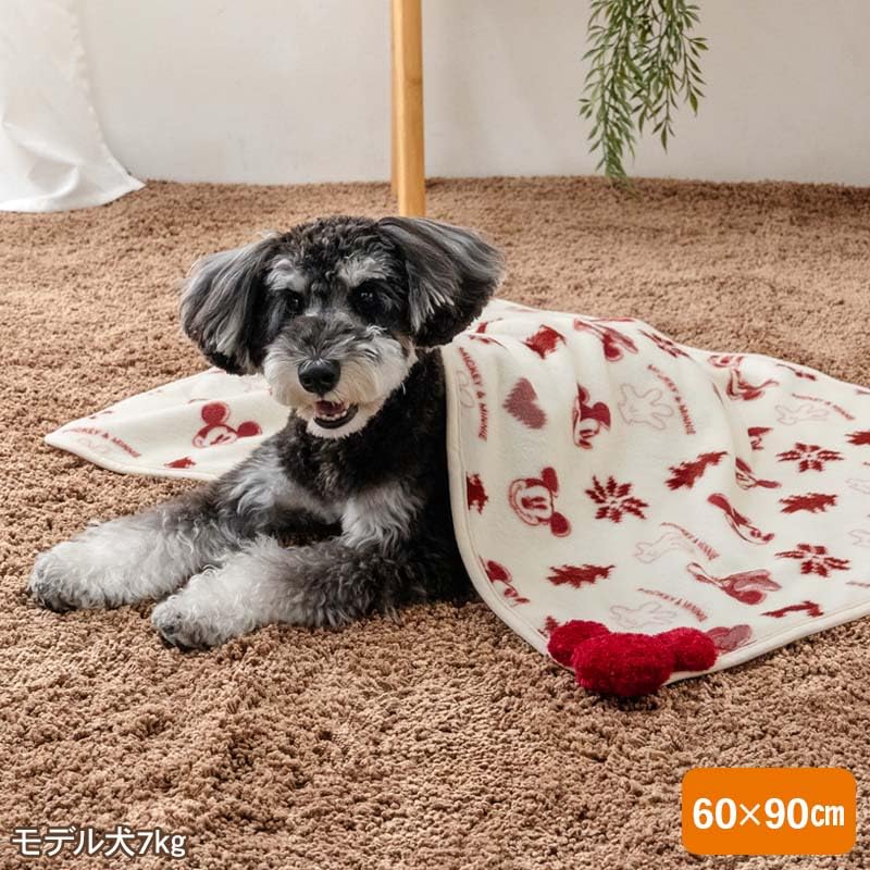 ペットパラダイス ディズニー ミッキー ミニー 犬 寝具 毛布 冬用 ニット柄 ブランケット 保温 暖かい 防寒 かわいい あったか