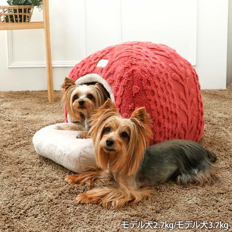 ペットパラダイス 犬 ベッド ハウス 犬小屋 室内 アラン柄 ボア 小型犬 ドーム型ベッド ドーム型ハウス ペットハウス ペットベッド 遠赤外線 洗える 遠赤 あったか ペット 冬
