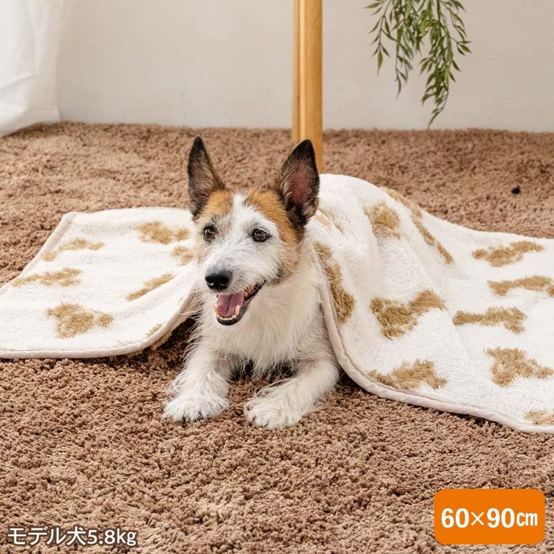 ペットパラダイス 犬 毛布 冬用 寝具 ベッド ブランケット くまちゃん 織り柄 ボア マット 保温 暖かい 防寒 かわいい あったか