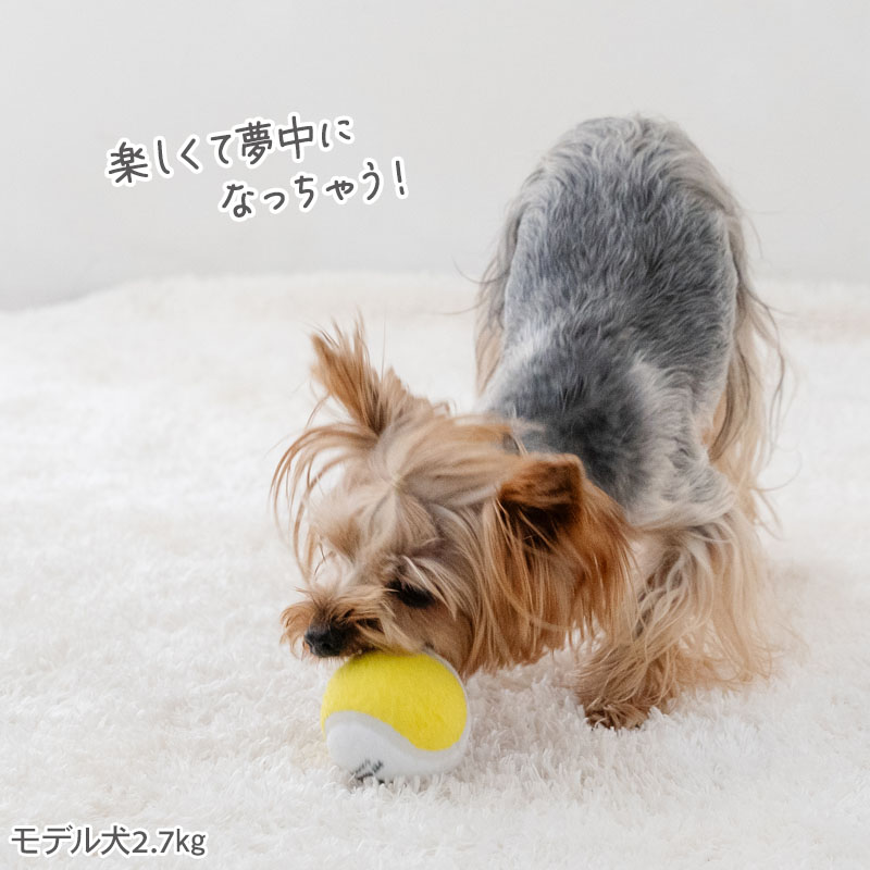 ペットパラダイス 犬 おもちゃ 犬おもちゃ テニスボール トイ 小型犬 中型犬 犬用おもちゃ ペット ロープ ボール 噛む 音 鳴る 3個セット オモチャ ペットトイ 玩具 TOY 0