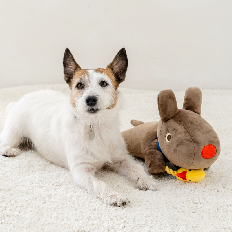 ペットパラダイス リサとガスパール 犬 おもちゃ 犬おもちゃ ガスパール パペットトイ 犬用おもちゃ トイ ペット ロープ 噛む 音 鳴る 音が鳴る ペットトイ 玩具 TOY かわいい おもしろ