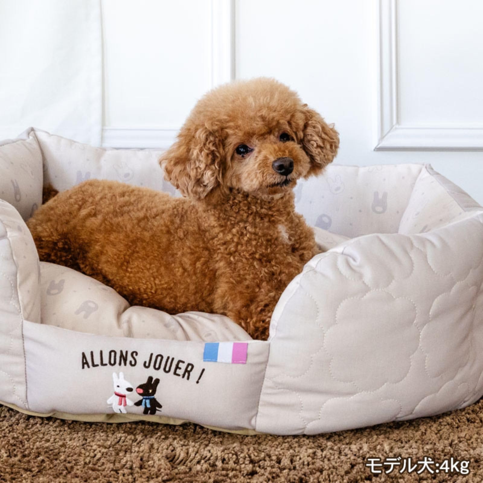 ペットパラダイス 犬 ペットベッド ペットソファー ペットクッション 寝具 猫 子犬 小型犬 洗える ( リサとガスパール キルティング カドラー ペットパラダイス国内直営店72店舗展開2025/10/1時点)